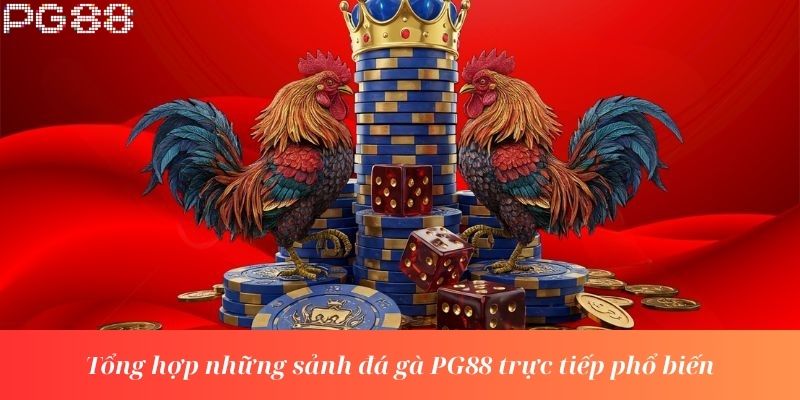 Tổng hợp những sảnh đá gà PG88 trực tiếp phổ biến